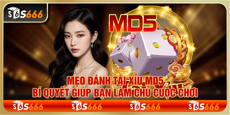 Mẹo đánh tài xỉu MD5: Bí quyết giúp bạn làm chủ cuộc chơi